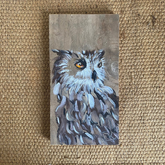 Owl on Wood