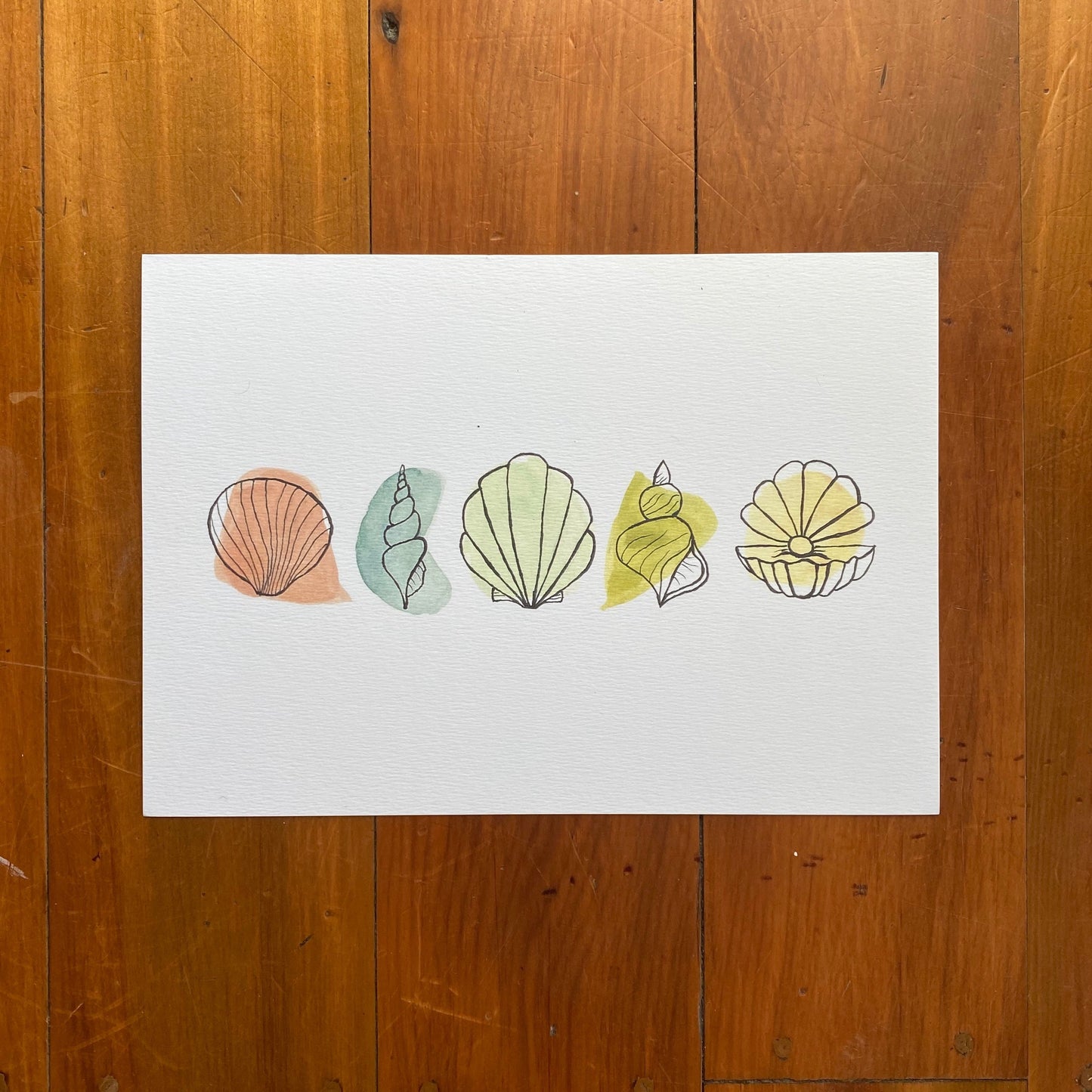 Five Shells Print