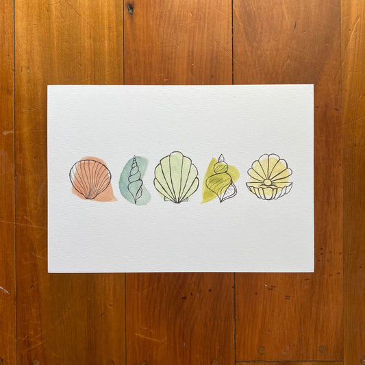 Five Shells Print